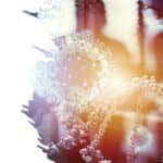 CDC和ADA文件更新和Delta变量对正畸实践的意义德赢vwinac登录