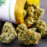 一半的牙医报告说，看病人数很高